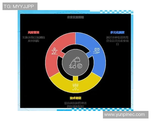 聚焦政策创新推动社会发展与经济转型的多维度分析与路径选择 聚焦政策创新推动社会发展与经济转型的多维度分析与路径选择