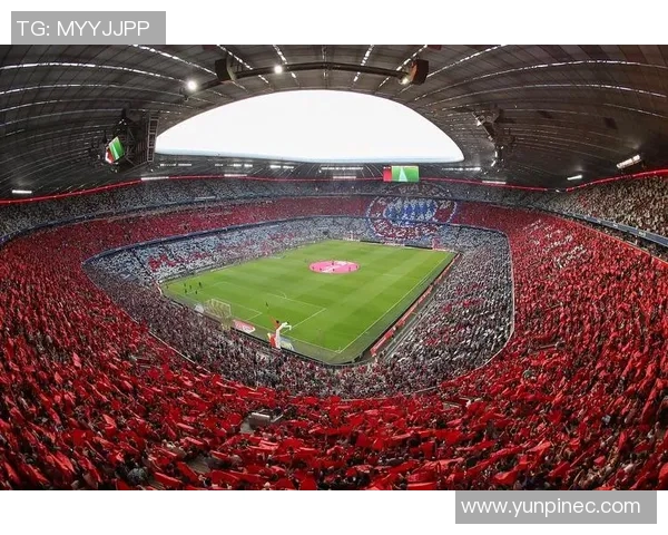 球场中心,聚焦激情与荣耀:探索体育竞技背后的精神与力量