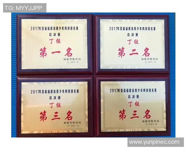 南京网球队与北京网球队个人能力对比分析赛后复盘 南京网球队与北京网球队个人能力对比分析赛后复盘